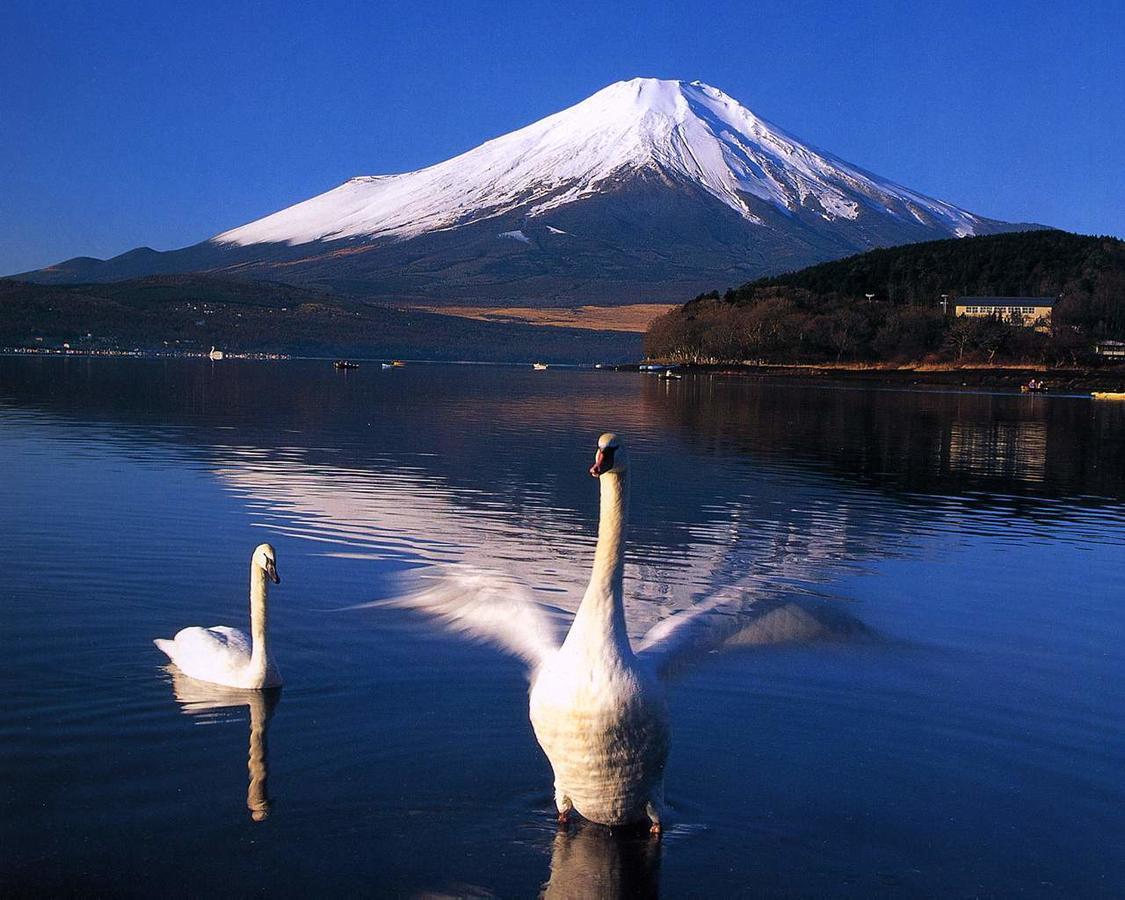 Resort Inn Golf Gotemba (Adults Only) 외부 사진
